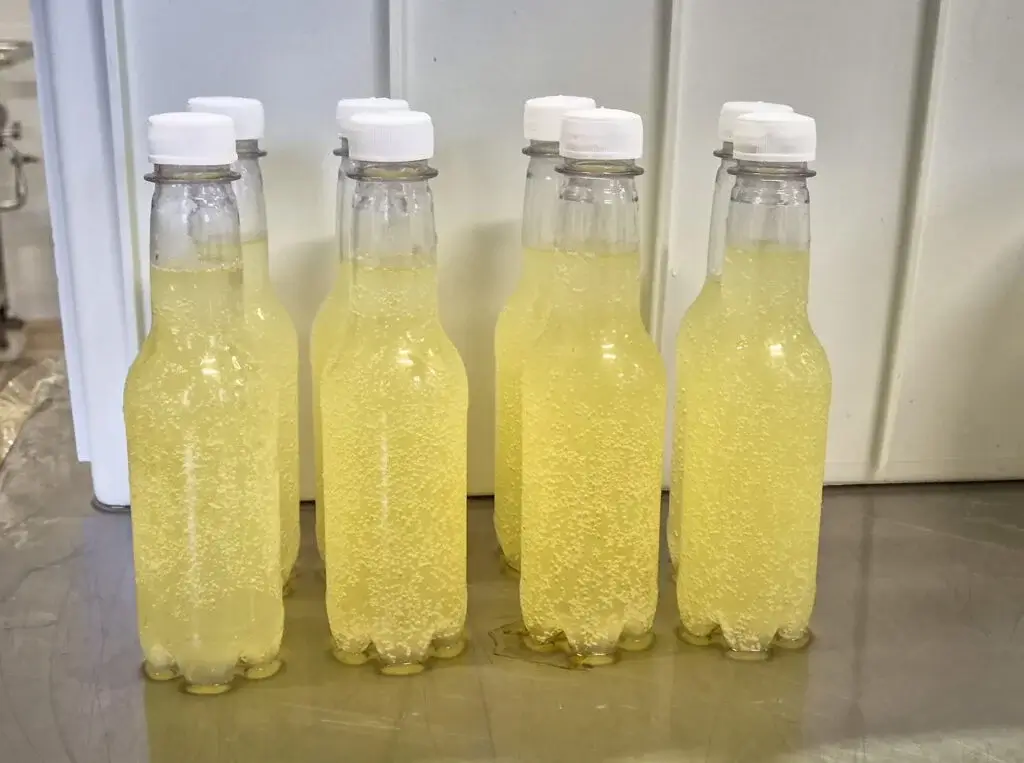 Refrigerante de soro de leite: bebida avança em testes de validação