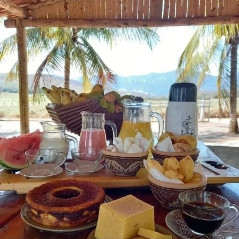 Sítio no Norte de Minas transforma receita de família em atração turística