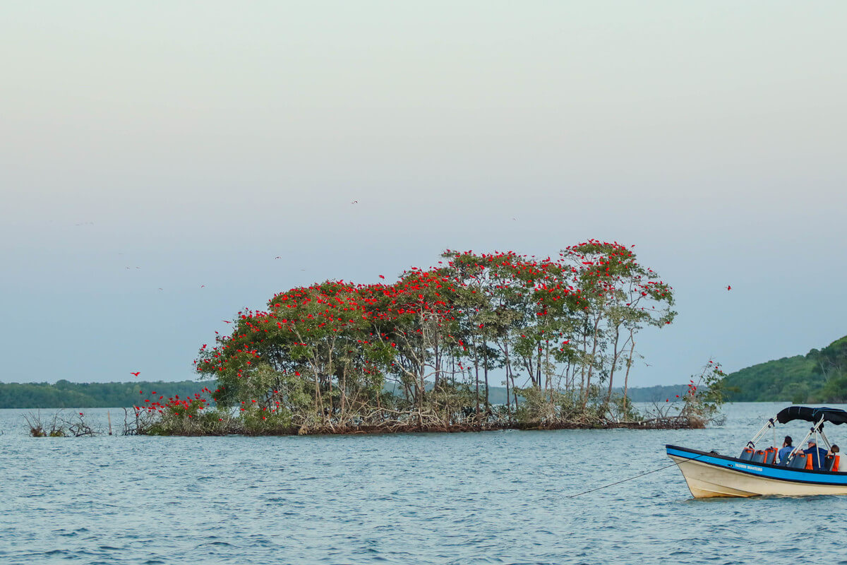 Turismo no Piauí gera 83% mais empregos e impulsiona economia