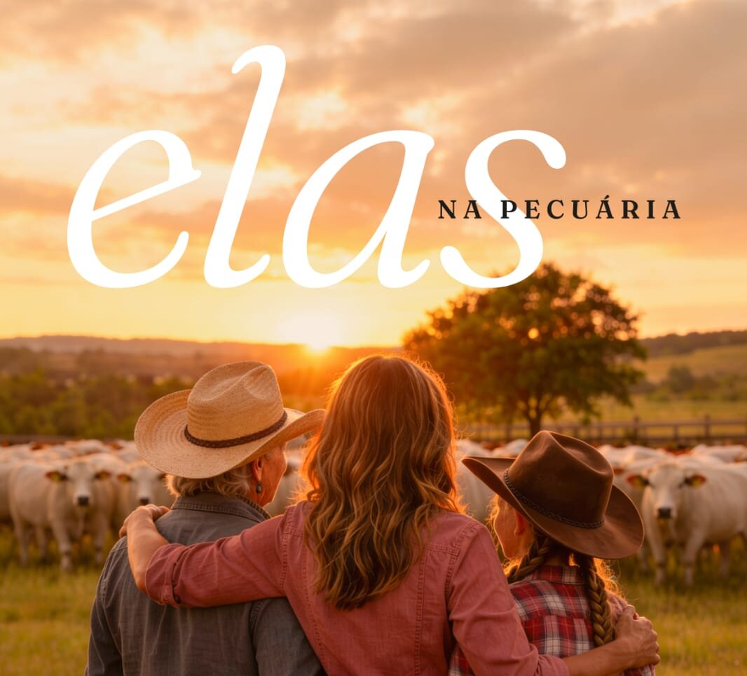 Mulheres do agro debatem governança e sucessão familiar em encontro no Tocantins
