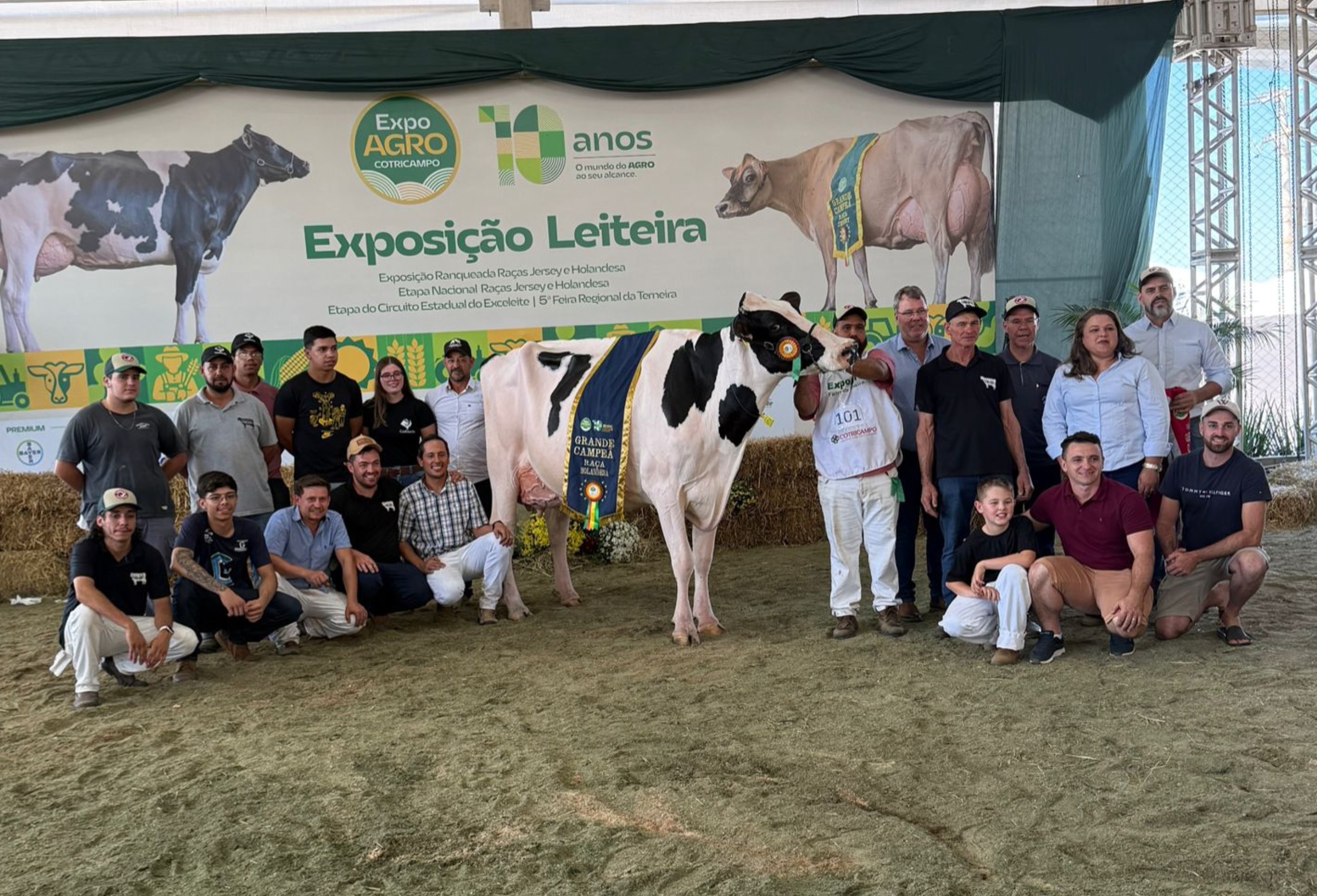 Anta Gorda e Serafina Corrêa se destacam na Expoagro Cotricampo