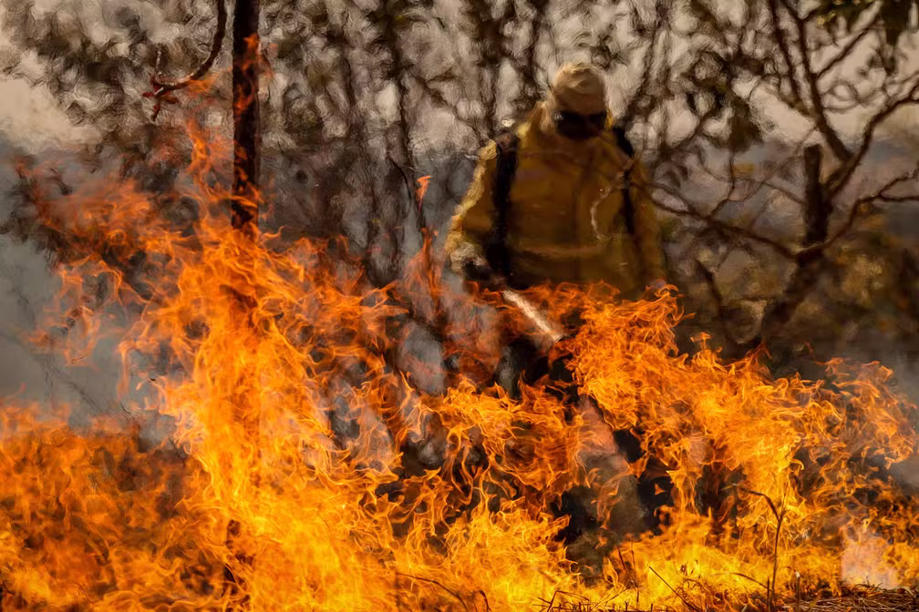 Como o Ibama e os quilombolas Kalunga estão mudando o combate a incêndios no Cerrado