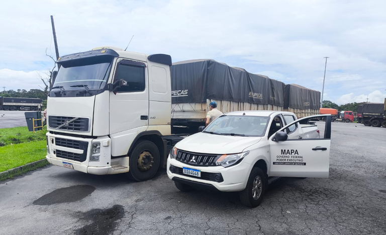 Fiscalização aponta irregularidade em exportação de soja no Porto de Paranaguá