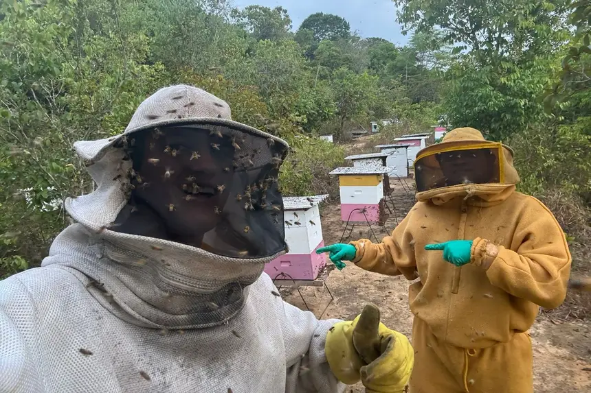 Produção de mel no Amapá cresce com tecnologia e união de apicultores