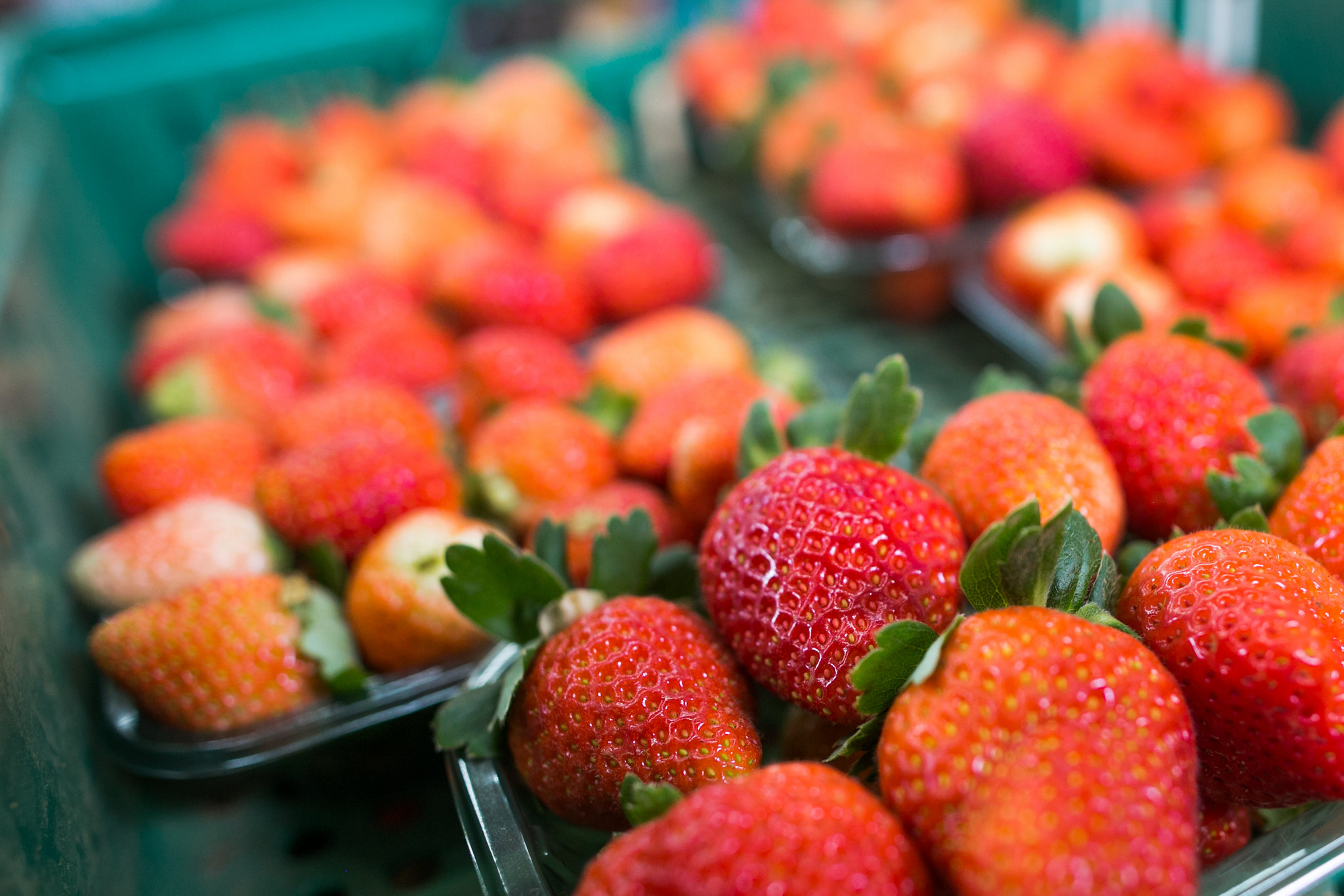 Geada é o novo desafio do morango brasileiro em ano de produção recorde