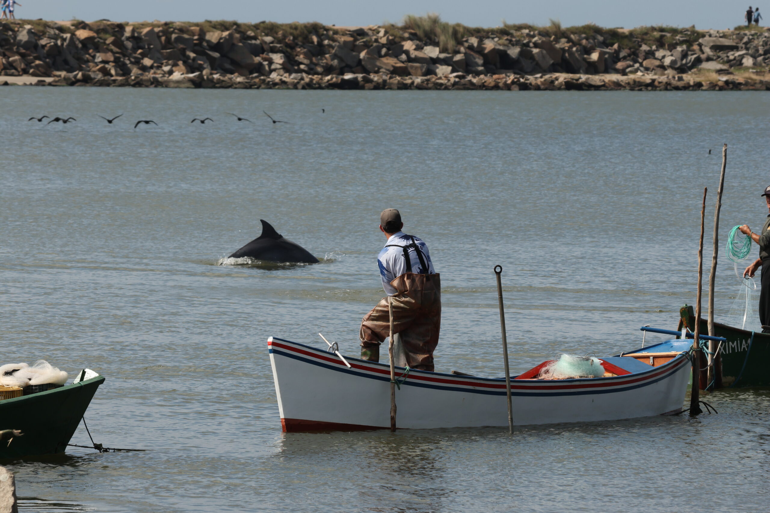 De São Pedro à granja aquícola: panorama da piscicultura no Dia do Pescador