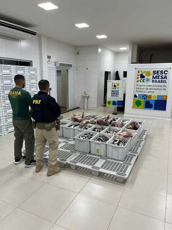 Ibama e Polícia Rodoviária Federal apreendem 700 kg de pescado