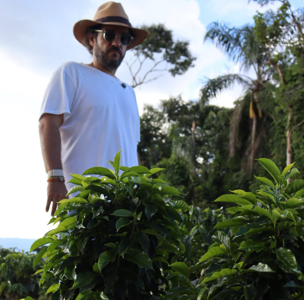 Produtor mineiro eleva o Brasil ao topo do café de luxo mundial