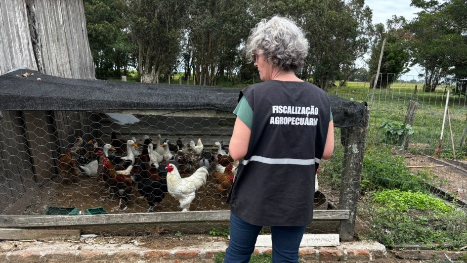 Equipes percorrem 40 propriedades para conter avanço da gripe aviária