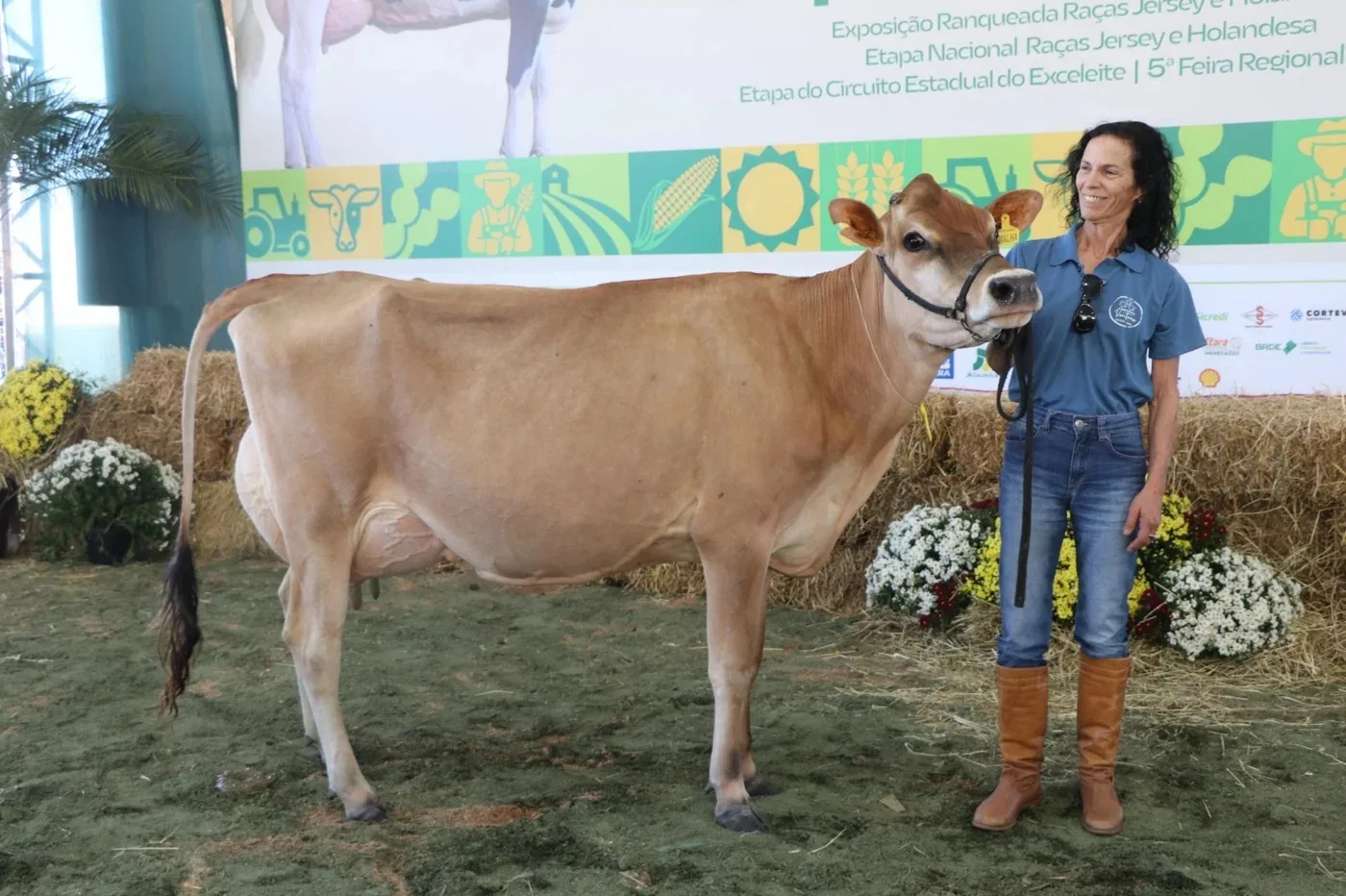 Vaca de dois anos quebra recorde nacional de produção de leite