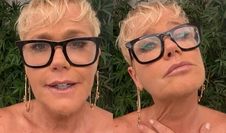 Xuxa pede justiça após morte cruel de elefante-marinho em Alagoas