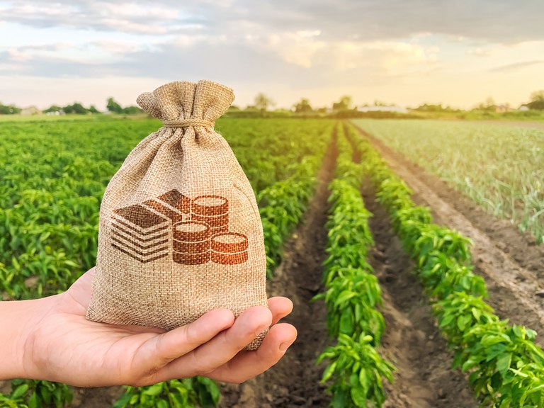Câmara aprova projeto que fortalece seguro rural e garante verba obrigatória no orçamento