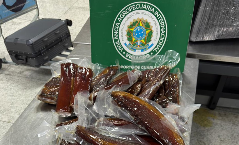 Vigiagro apreende mais de três toneladas em aeroporto de Guarulhos