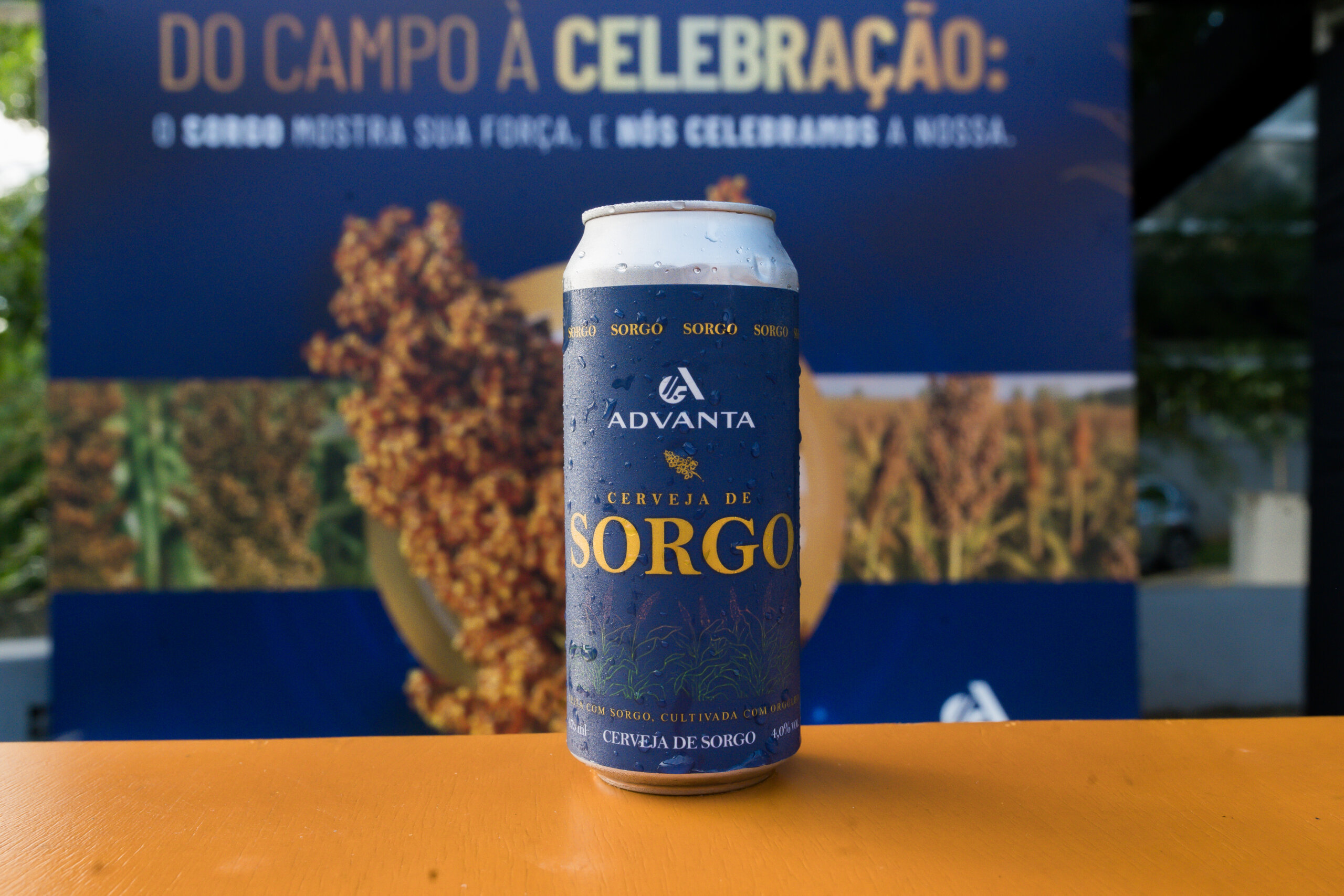 Sorgo vira matéria-prima de cerveja artesanal sem glúten