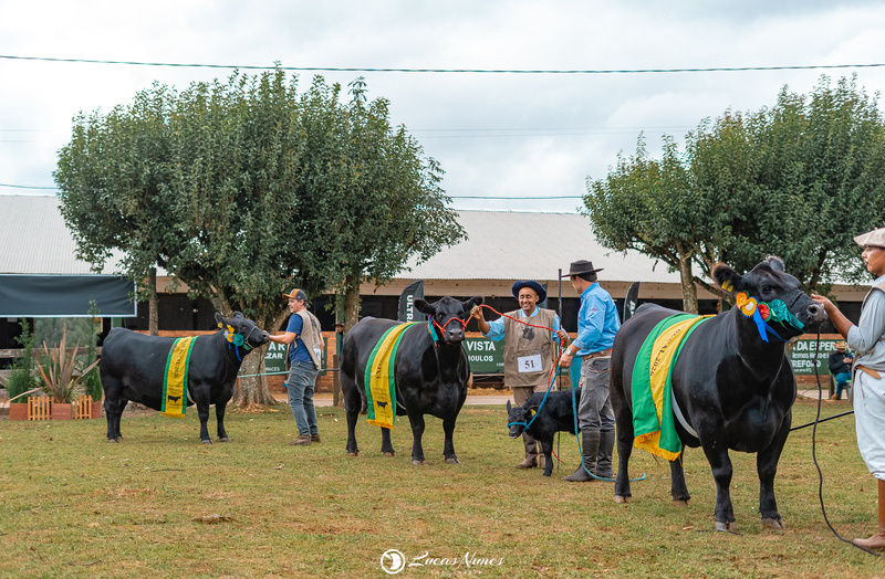 Exposição Nacional de Angus e Ultrablack premia animais em Vacaria (RS)
