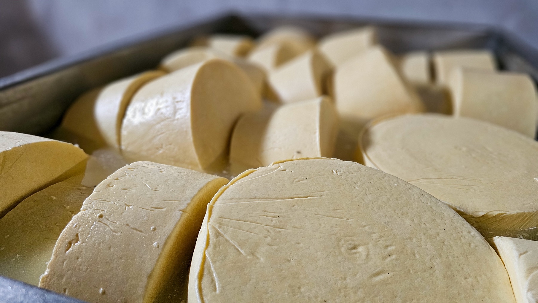 Queijo Artesanal do Vale do Suaçuí ganha regulamentação e poderá ser vendido em todo o país