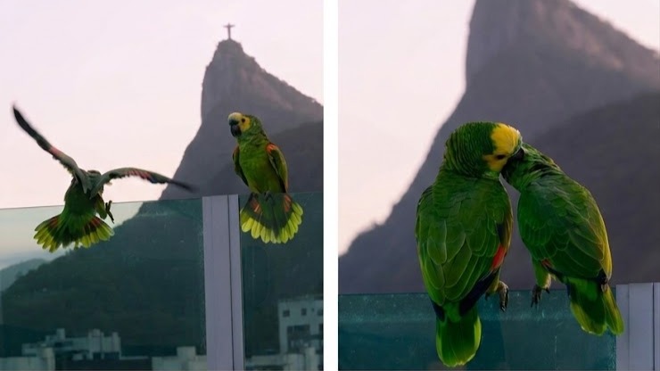 RJ: a natureza e o amor resistem aos pés do Cristo Redentor