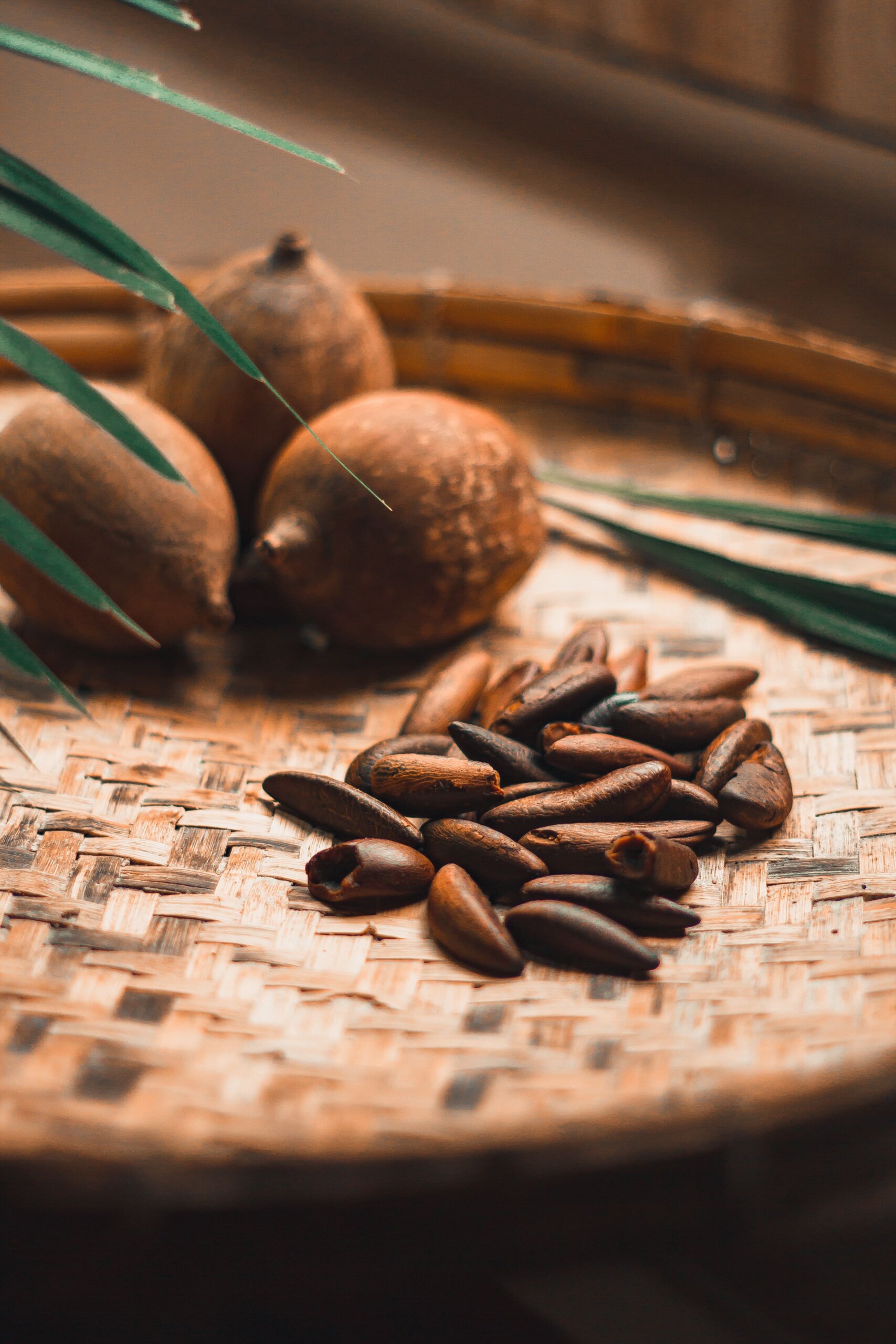 Murici, babaçu e camu-camu: ingredientes amazônicos conquistam a indústria brasileira
