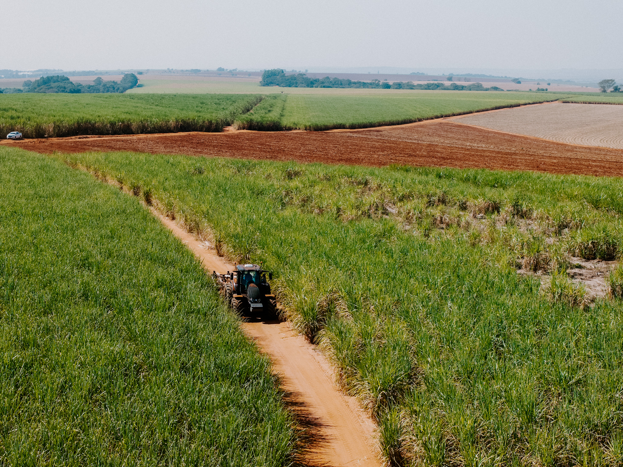 Agronegócio paulista supera US$ 6,45 bilhões de superávit