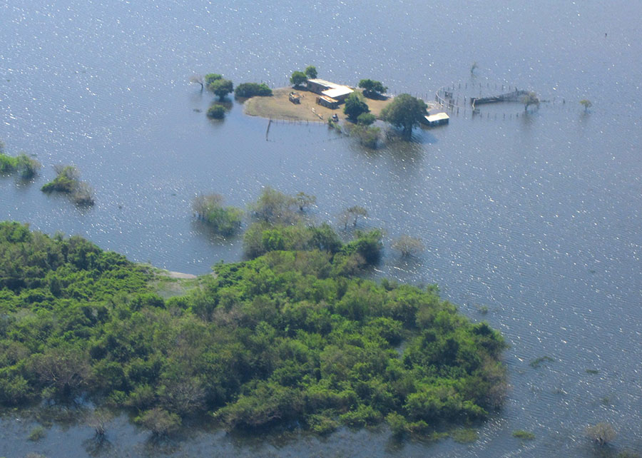Pantanal tem cheia abaixo do esperado em 2026 após chuvas irregulares