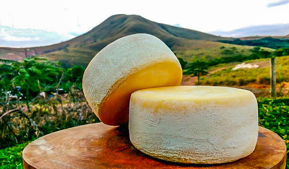 Queijo Canastra: estudo mostra o que realmente conquista o consumidor