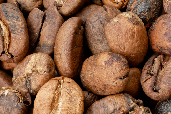 Operação apreende mais de 82 toneladas de produtos irregulares usados na produção de café