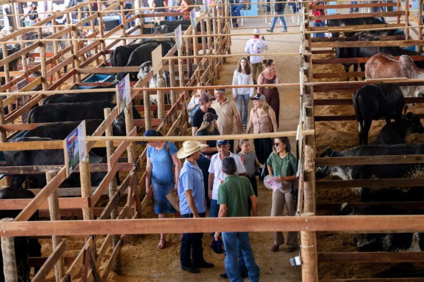 Rondônia Rural Show cresce em público e volume de negócios