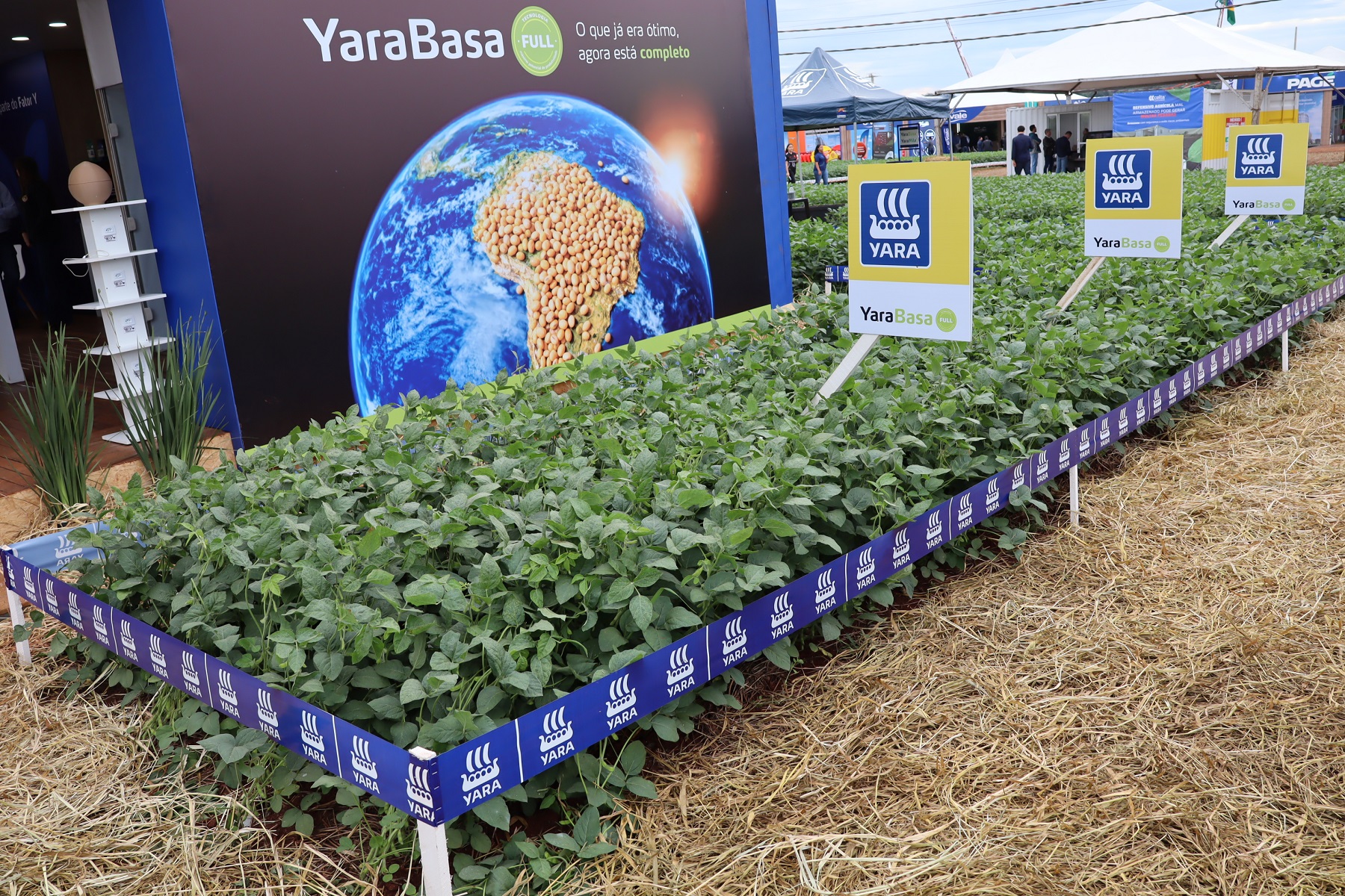 Nutrição vegetal avança com foco em eficiência e produtividade
