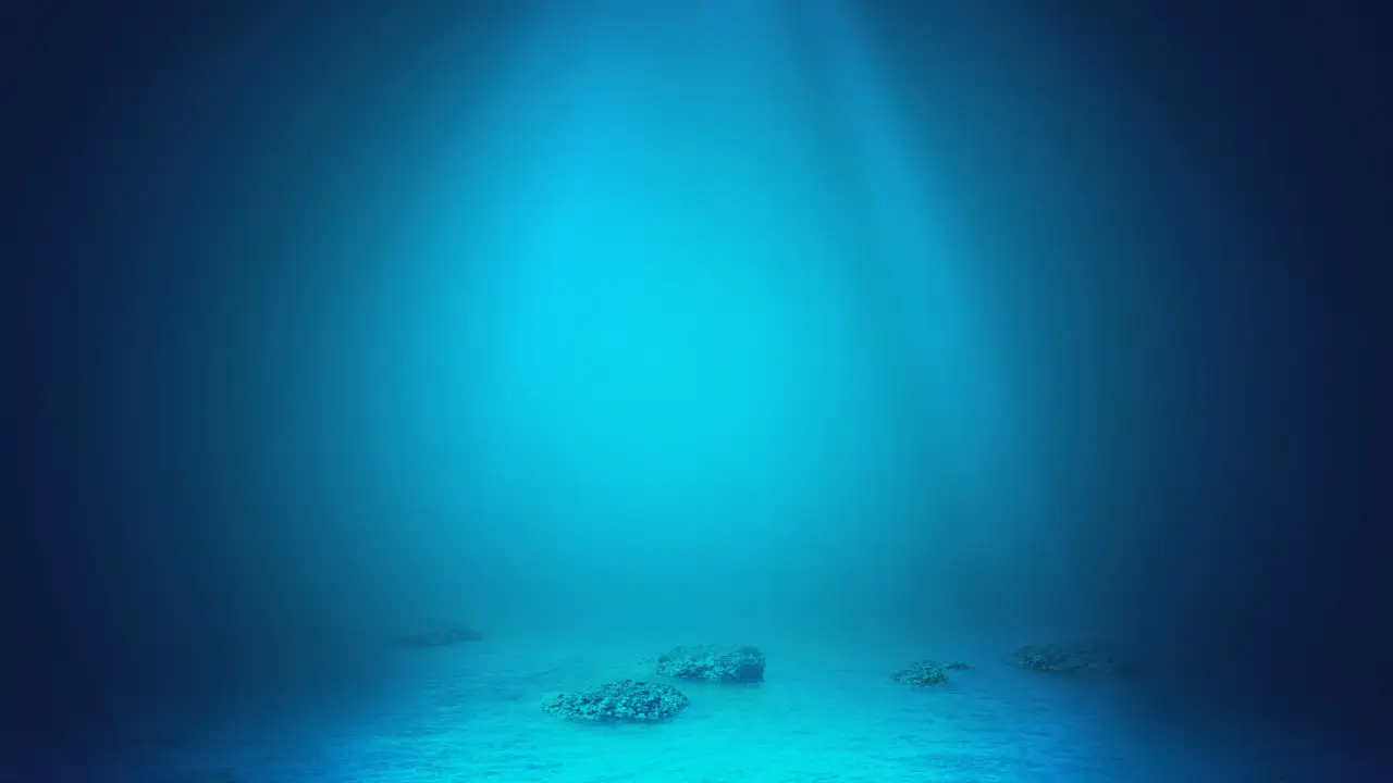 Animal encontrado por cientistas no fundo do mar pode ser a solução no combate ao câncer