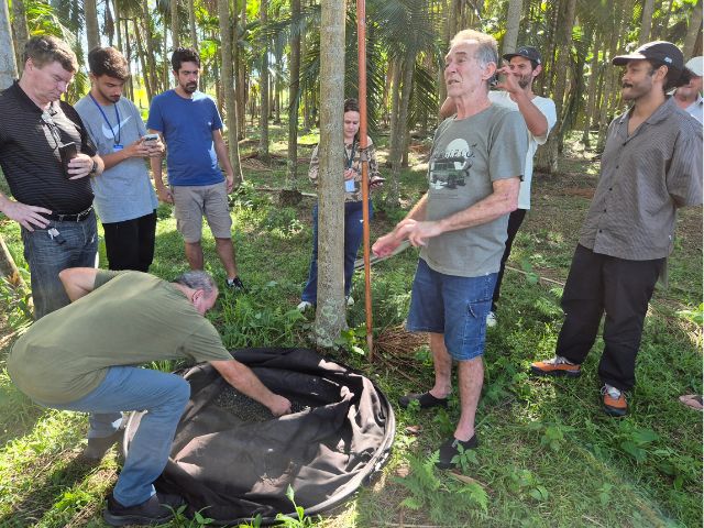 Produção de açaí juçara vira fonte de renda pra ex-pescador