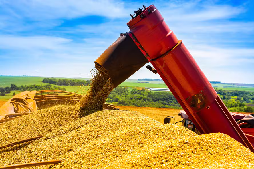 PIB da agropecuária cresce 2% no primeiro trimestre de 2026