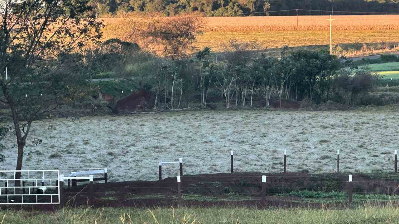 Geadas e temperaturas negativas acendem alerta no campo