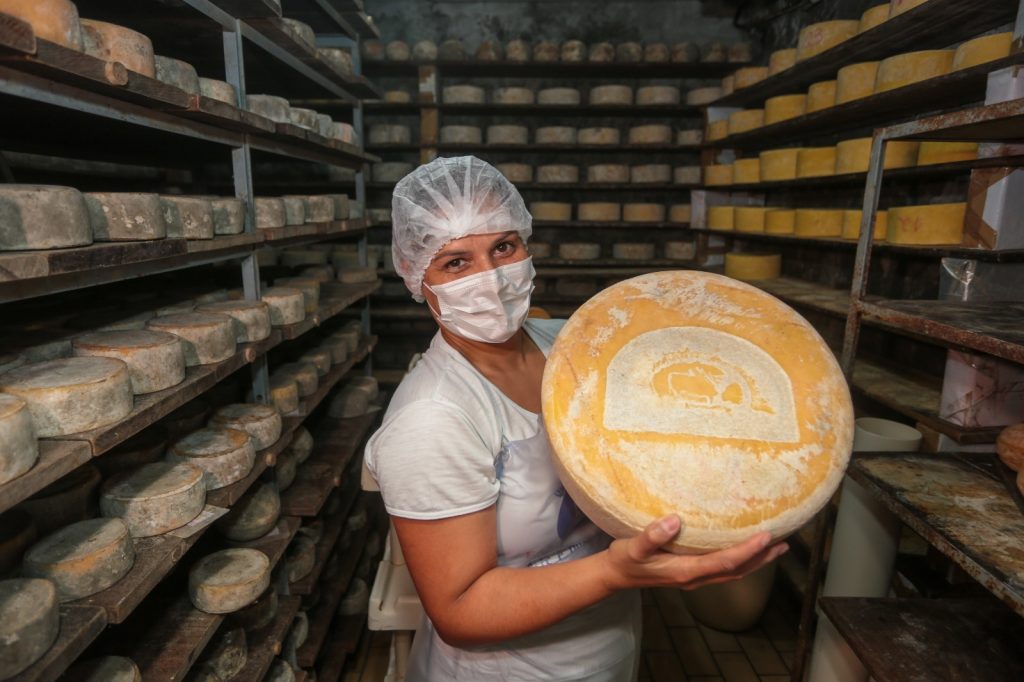 Queijo artesanal em São Paulo cresce 490%