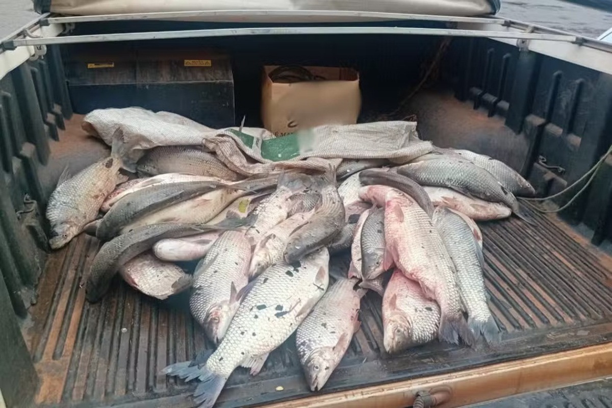 Pesca irregular acaba com apreensão de 85 kg de peixes e multa de R$ 5,7 mil no interior de SP