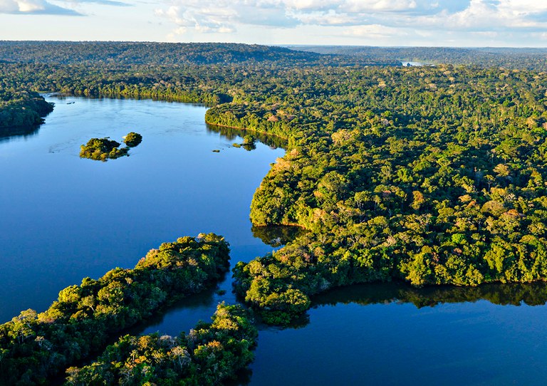 Amazônia 2050: o plano para transformar biodiversidade em renda e desenvolvimento