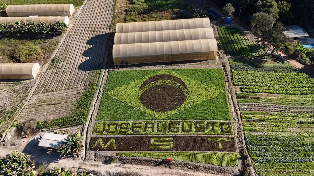 Agricultor cria bandeira do Brasil com 39 mil hortaliças