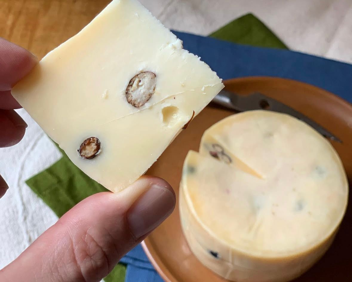 Queijo feito com formigas vira iguaria premiada e supera R$ 200 o quilo