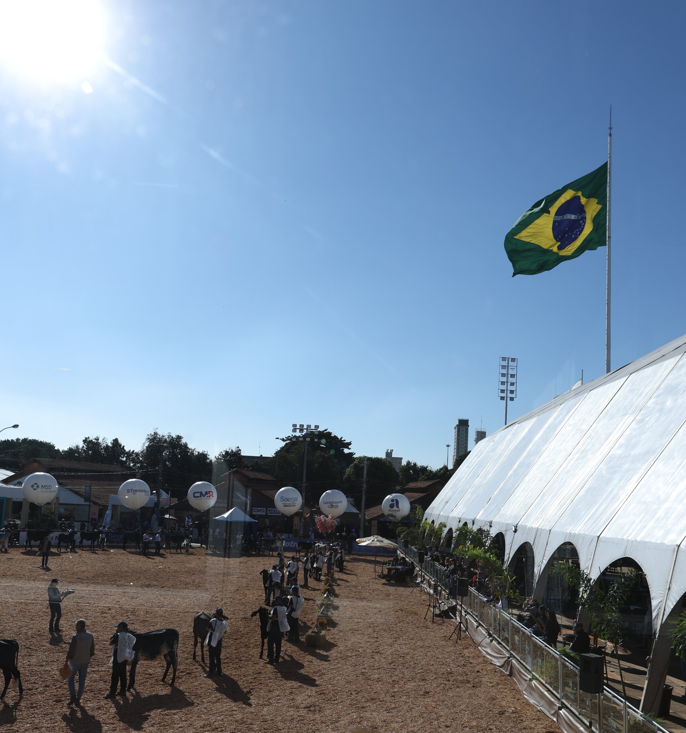 Megaleite 2026 bate recordes de público, negócios e produtividade em Belo Horizonte