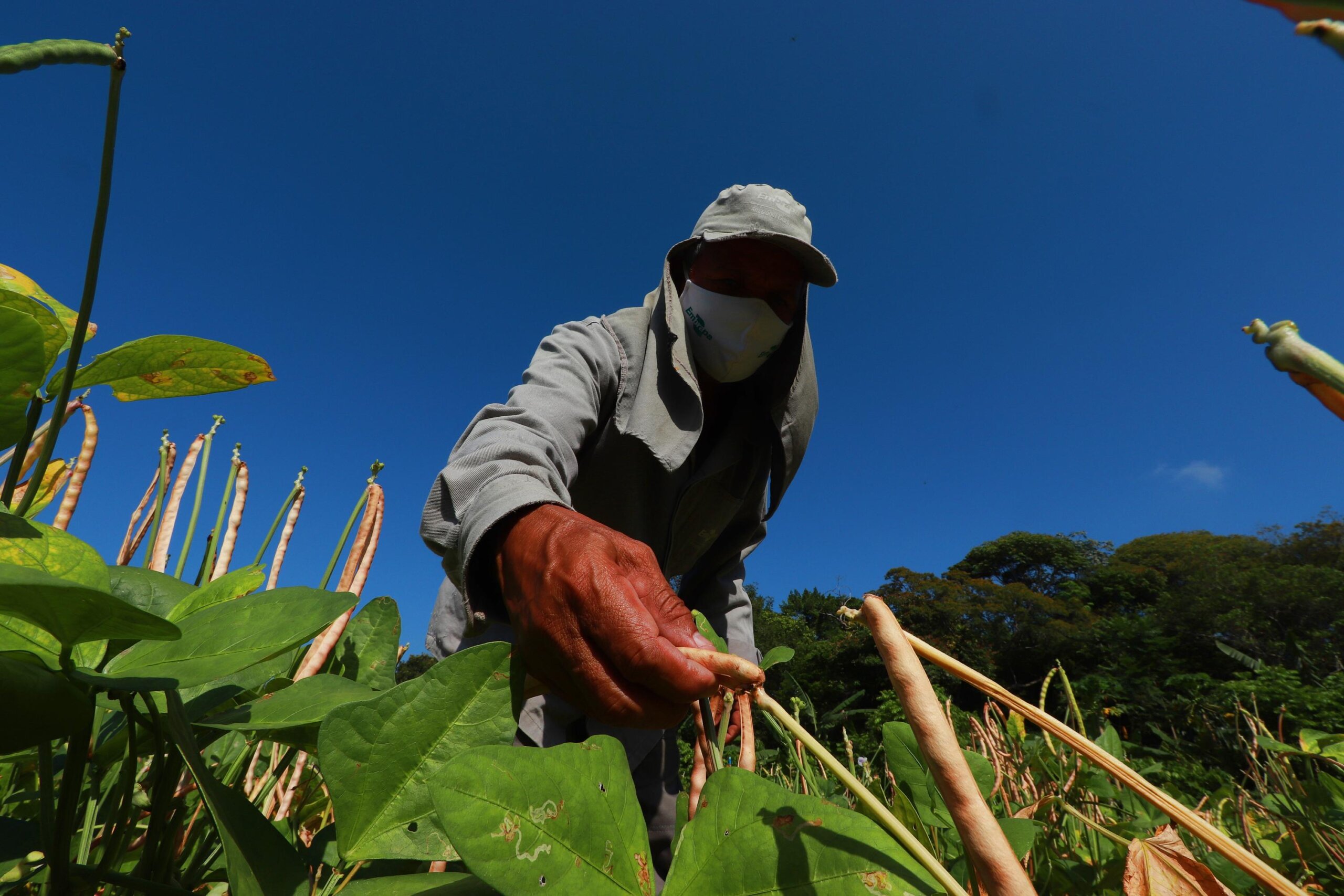 Projeto de proteção ao produtor rural divide agronegócio