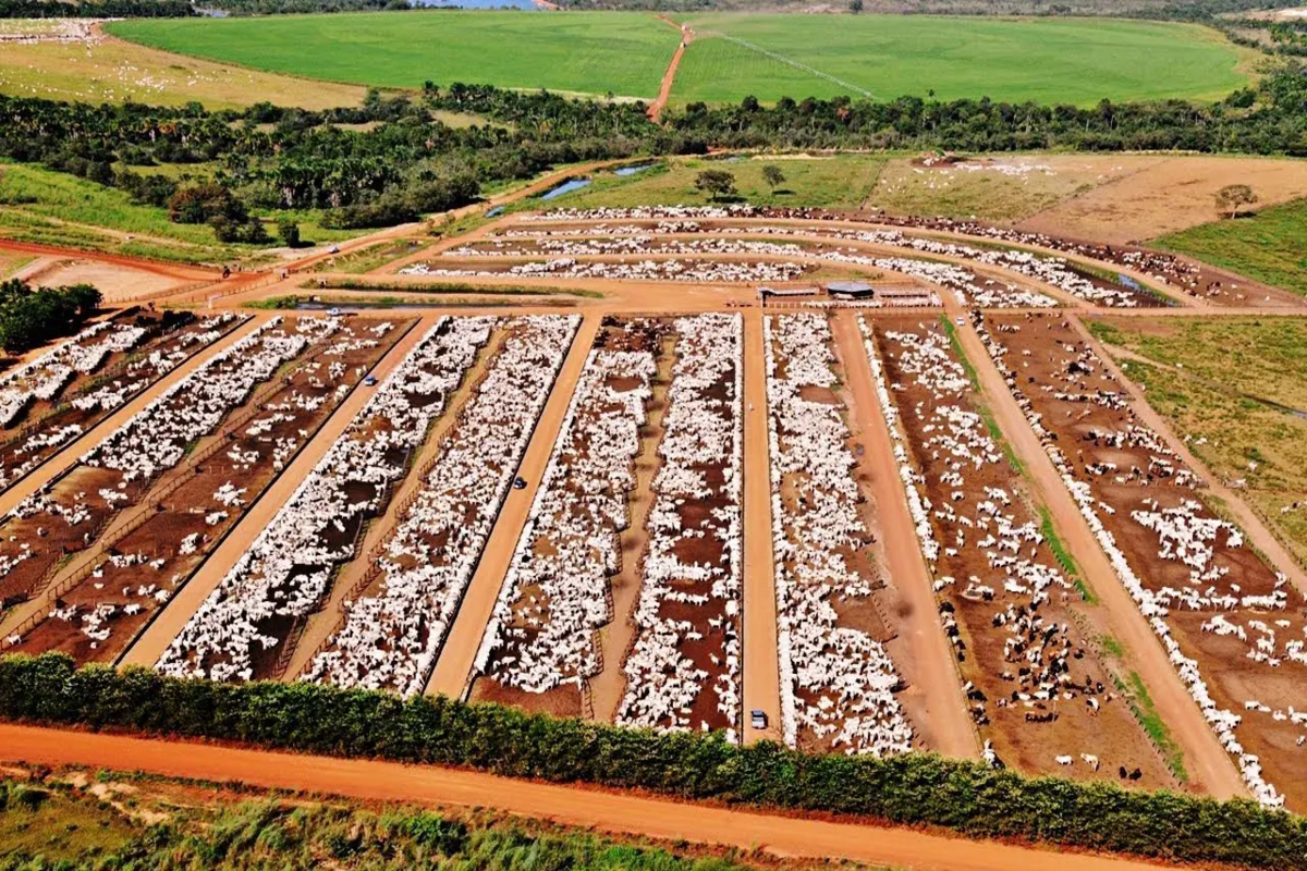 Júnior Friboi desiste de negócio com Fazenda Conforto