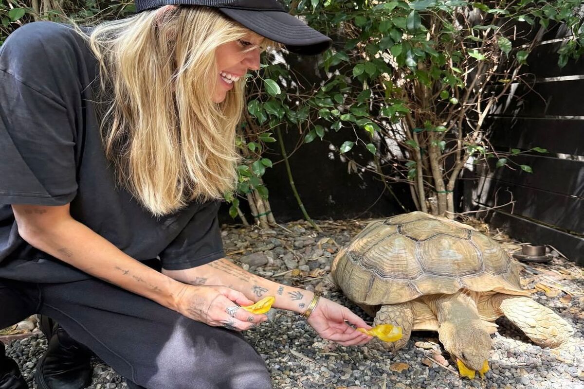 Miley Cyrus adota tartaruga gigante que vivia em abrigo americano