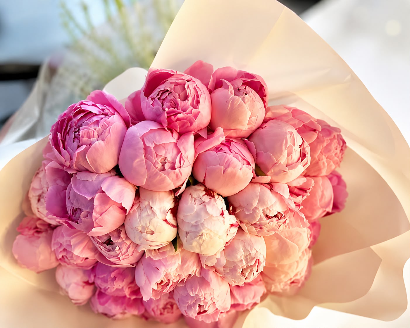 Dia dos Namorados: conheça o significado das flores e acerte no presente