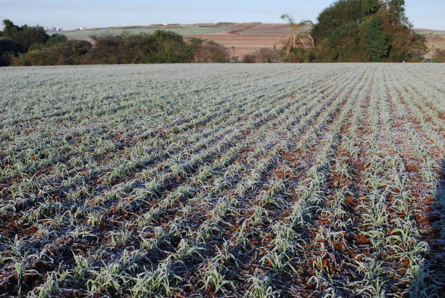 Embrapa lança projeto para ajudar produtores a enfrentar riscos climáticos