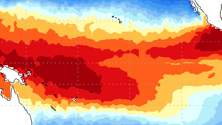 Super El Niño: saiba quais serão os impactos do fenômeno em São Paulo