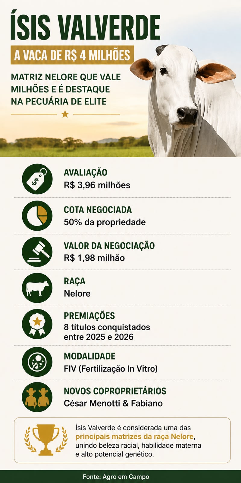infografico sobre a vaca Isis