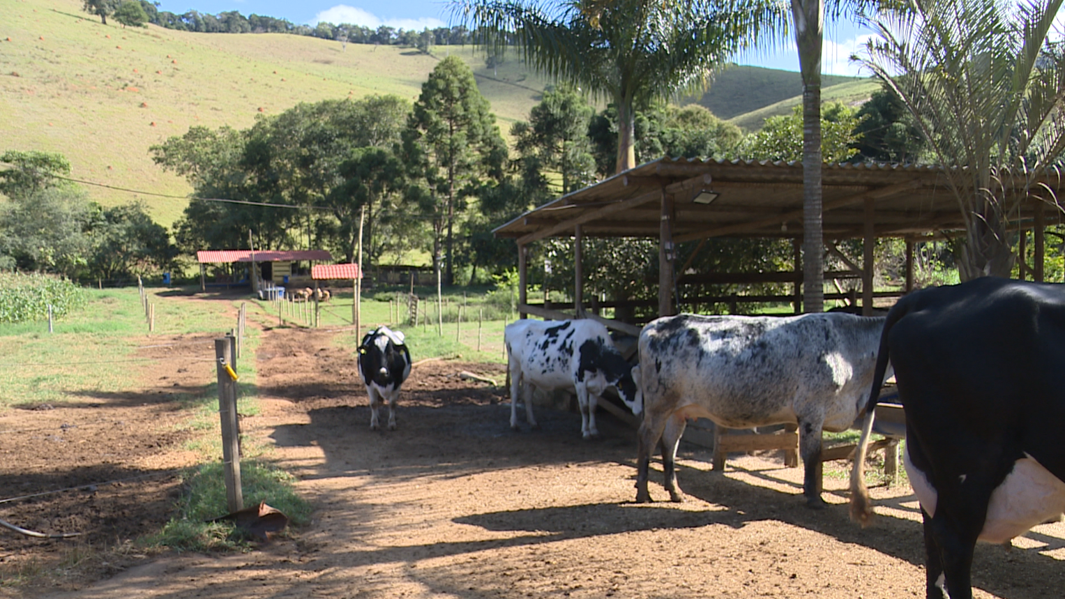 Câmara avança em projeto que amplia acesso de mulheres ao crédito rural
