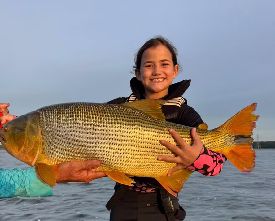Menina de 7 anos quebra o próprio recorde ao fisgar dourado gigante no Rio Paraná