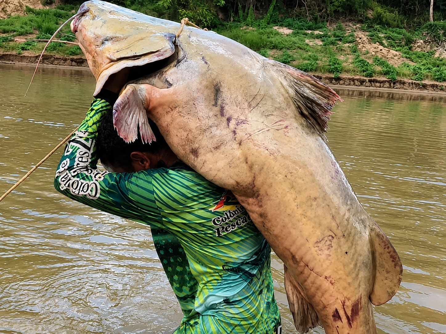 Peixeiro fisga jaú de 68kg e afirma: “Não é história de pescador”