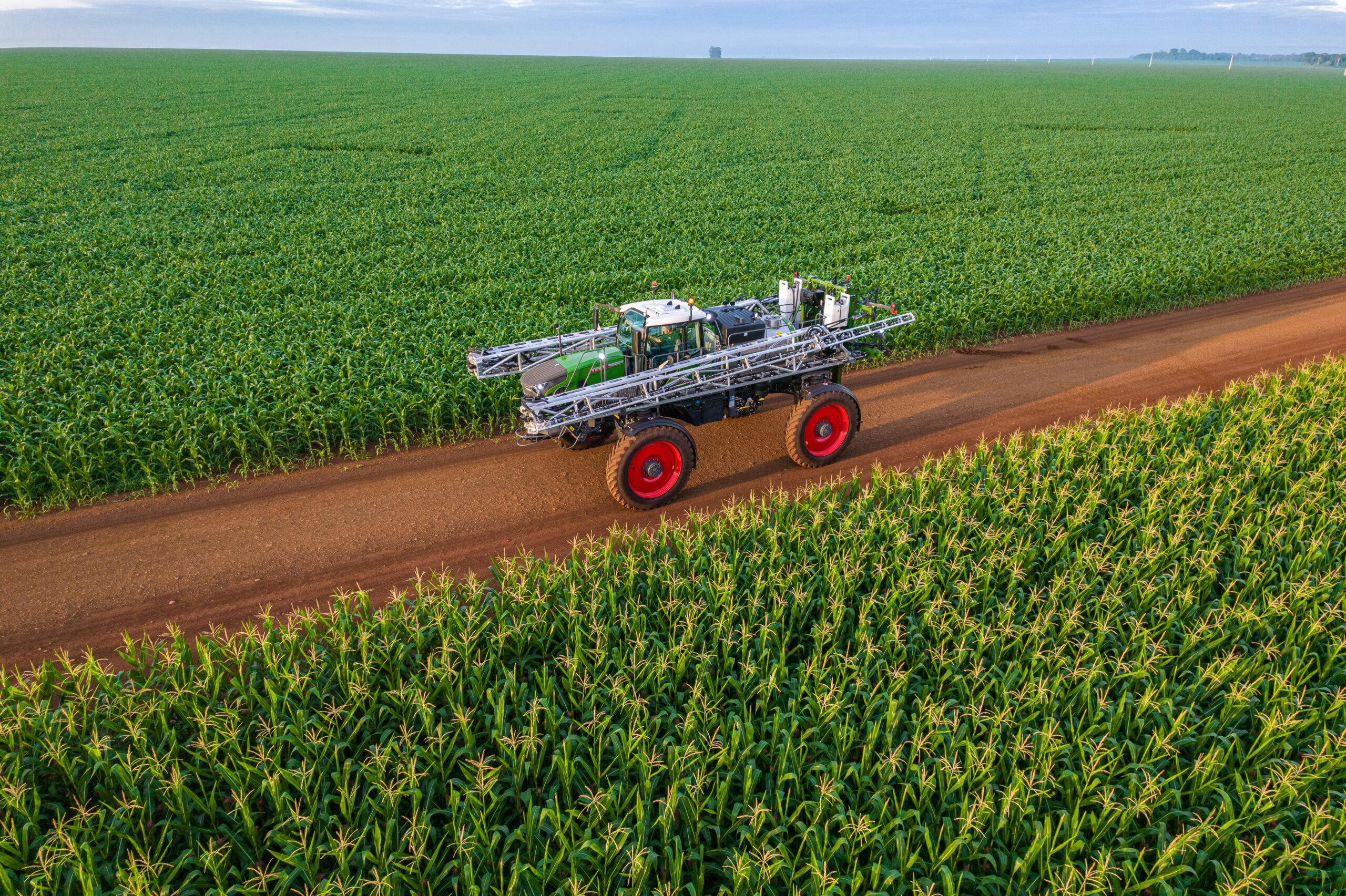 Nova tecnologia permite usar fungo benéfico junto com fertilizante químico