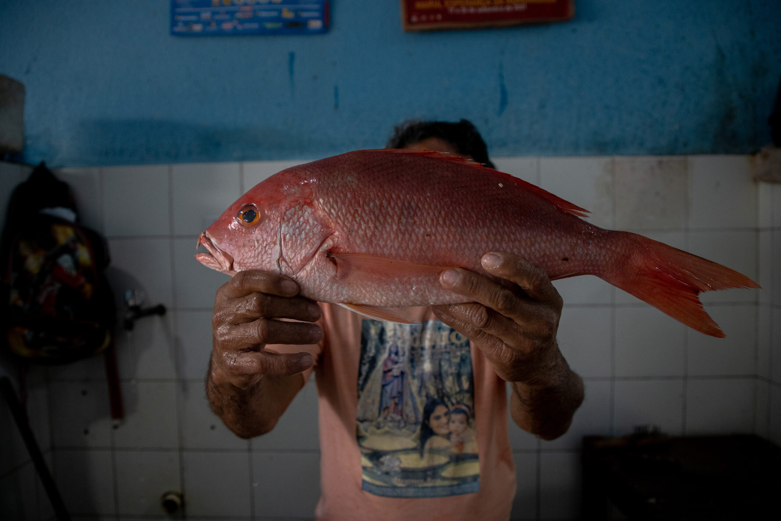 Ameaçado de extinção, pargo passa a ter cota de pesca no Brasil